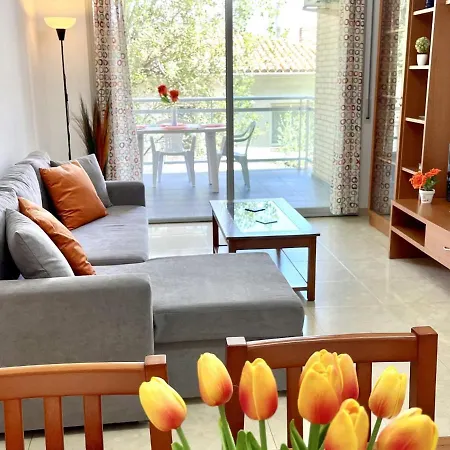Apartbeach Chloe Centrico Junto Playa Climatizado Con Piscina Y Gran Terraza *